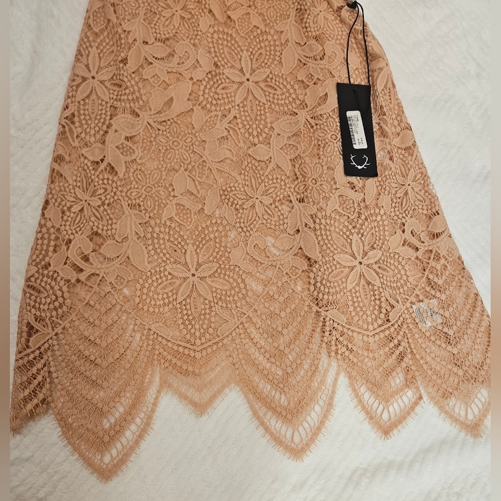 For Love & Lemon Summer Lilly Fairycore Mini Dress Pale Blush Size XS NWT - Picture 9 of 15